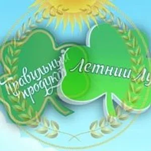 Летний луг
