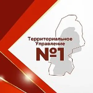 Территориальное управление №1 Красноармейского МО