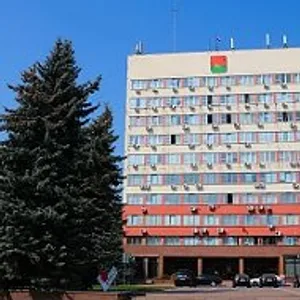 Брянская городская администрация