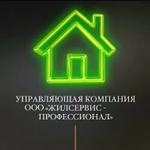 УК ООО "Жилсервис - Профессионал"
