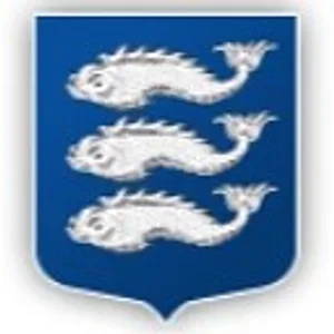 Чат-бот МО Васильевский