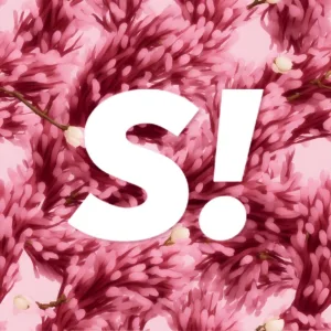 Super.ru