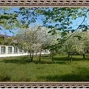 МКОУ "Курмановская СОШ"