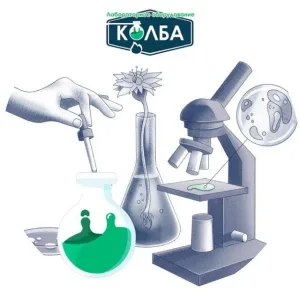 ЛАБА 24/7