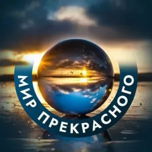 Мир прекрасного🌎/Животные/Природа/Путешествия/Звери»