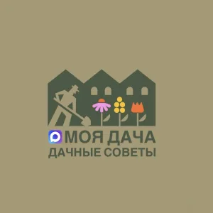 Моя дача | Дачные советы