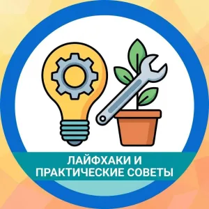 Лайфхаки Полезные советы