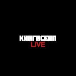 Кингисепп |Live