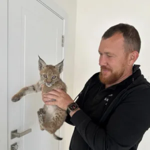 Александр Чубаков