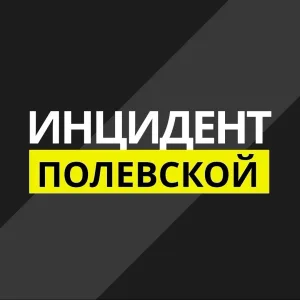 Инцидент Полевской