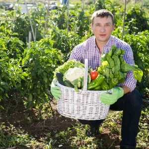 О Фазенде. Загородная жизнь