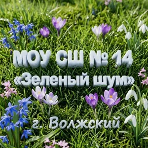 МОУ СШ № 14 «Зеленый шум»