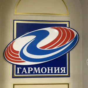 МАОУ «Гимназия «Гармония» Великий Новгород