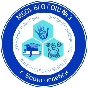 МБОУ БГО СОШ № 3
