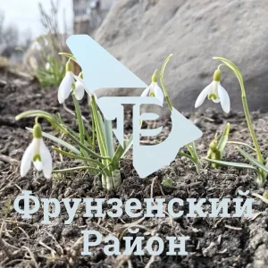 Фрунзенский район Санкт-Петербурга