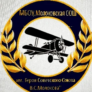 Школа им.Героя Советского Союза В.С.Молокова Ленинский городской округ