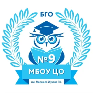 Центр образования № 9, Богородский городской округ
