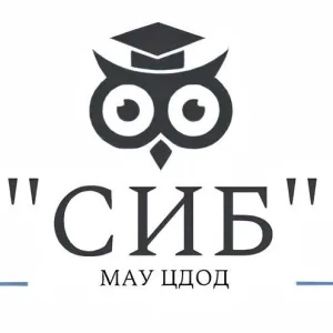 МАУ ЦДОД "СИБ"