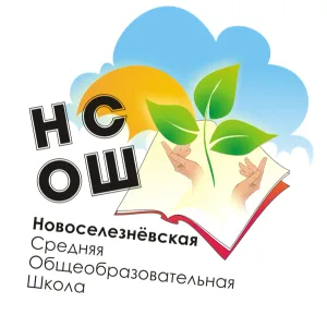 МАОУ Новоселезневская СОШ