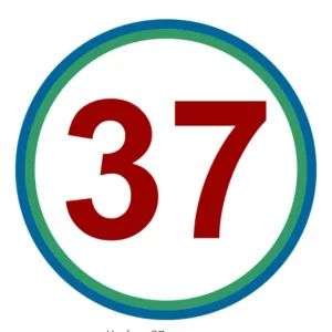 МБОУ СШ№37 г. Дзержинска