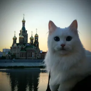 НОВОСТИ ЙОШКАР-ОЛА МАРИЙ ЭЛ