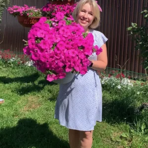 Петунии Сама Могу