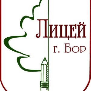 МАОУ лицей г. Бор