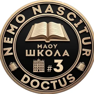 МАОУ "Школа №3"
