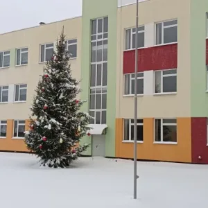 Савинская средняя школа п.Савино Ивановская область