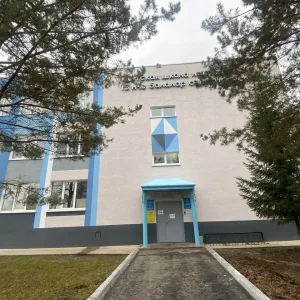 Детская школа искусств №13(т)