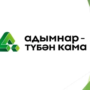 МБОУ "Адымнар - Нижнекамск" НМР РТ