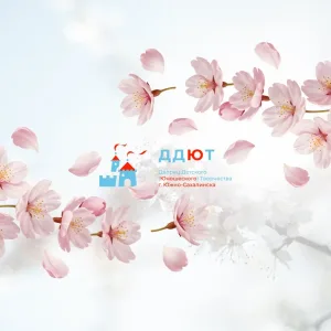 Новости Дворца ☀️