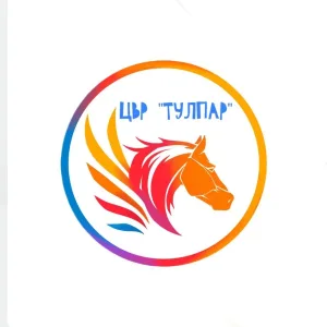 МБУДО «Центр внешкольной работы «ТУЛПАР» Высокогорского муниципального района РТ»