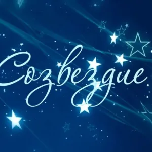 Центр "Созвездие" Шатура