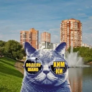 Химки