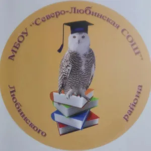 МБОУ "Северо-Любинская СОШ" Любинского района Омской области