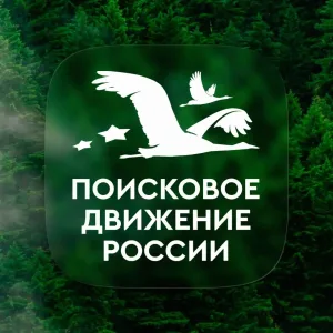 Поисковое движение России