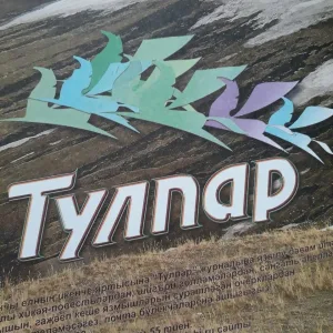 Тулпар журналы каналы