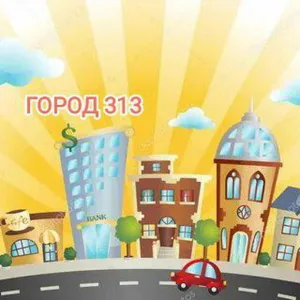 МАДОУ № 313 (Город 313)