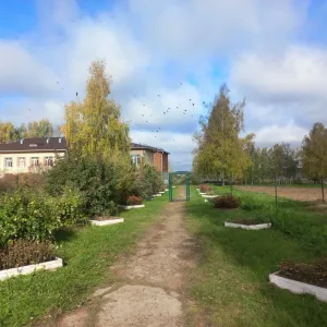 МОУ СОШ с.Ильинское