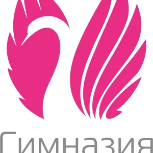 МБОУ "Гимназия-интернат №13" г. Нижнекамск