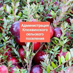 Администрация Клюквинского сельского поселения