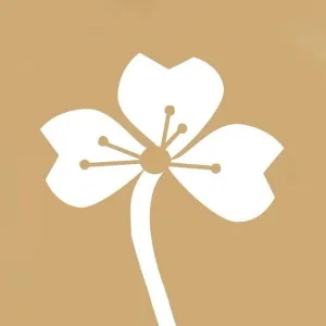Дизайн Лик