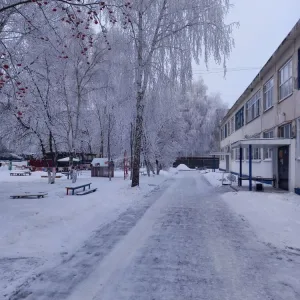 МБДОУ детский сад 17 г. Пензы