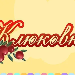 МБДОУ ДЕТСКИЙ САД КОМБИНИРОВАННОГО ВИДА √172 "КЛЮКОВКА"