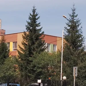 МБДОУ д/с № 117 город Новосибирск