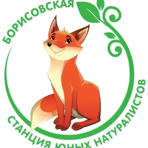 МБУ ДО "Борисовская СЮН"