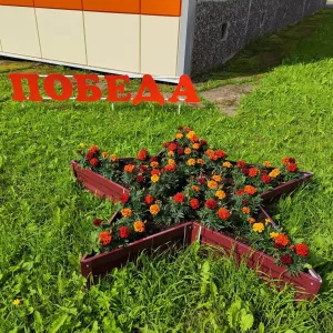 Детский сад 8 "Сказка", Волхов
