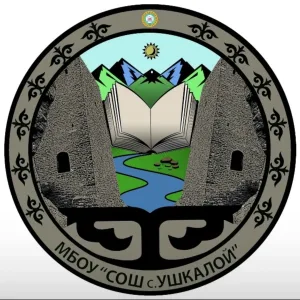 МБОУ «СОШ с. Чиннах»