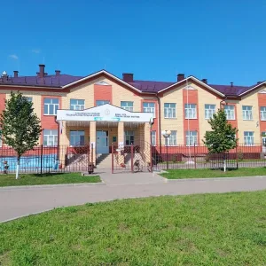 МБОУ "Альшеевская СОШ БМР РТ"